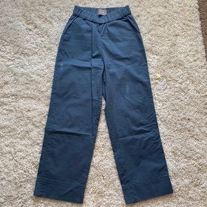 Everlane the Easy Pant Blue Size 4